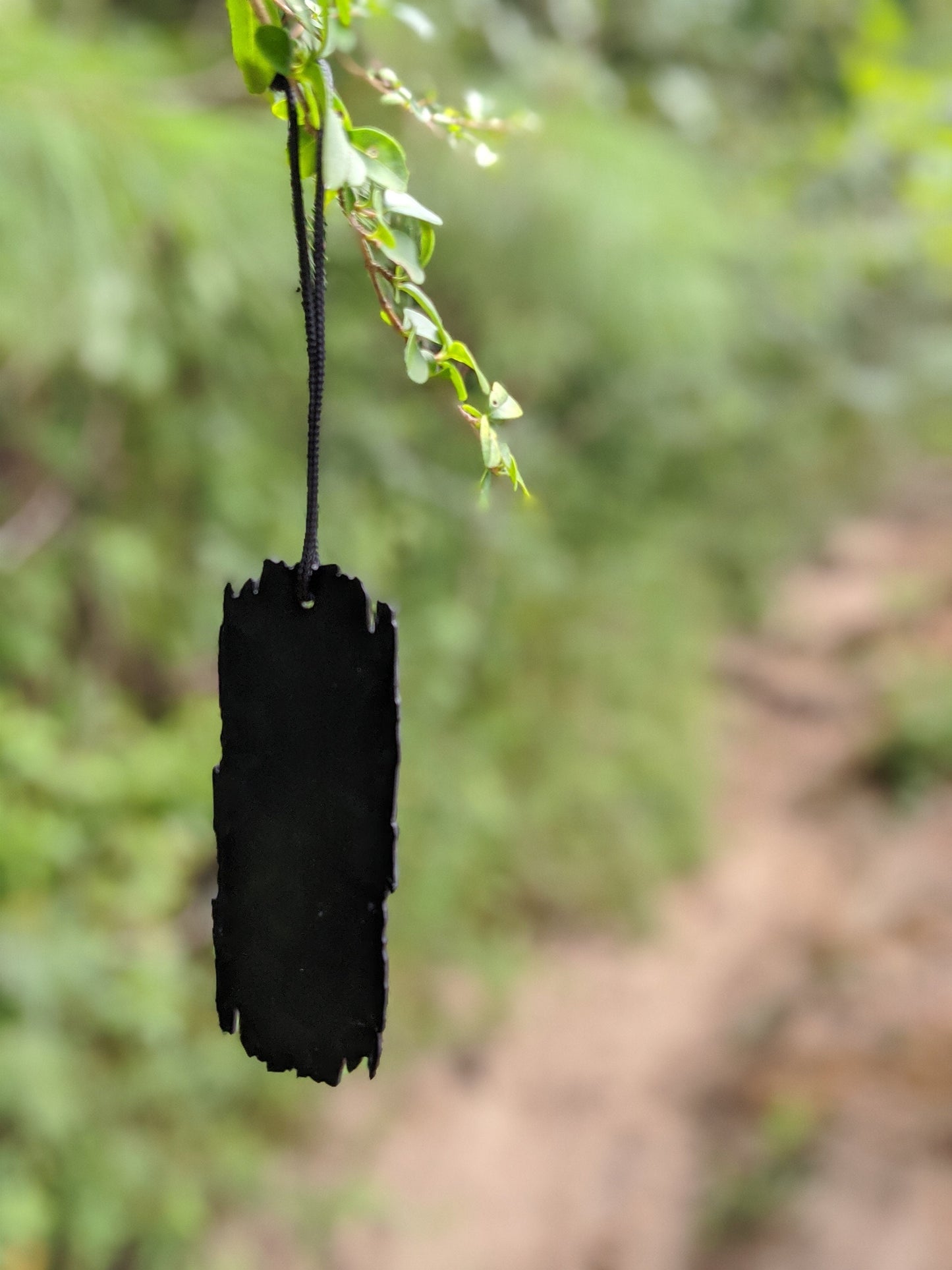 Appalachian Trail AT White Blaze Sign Ornament Decoration