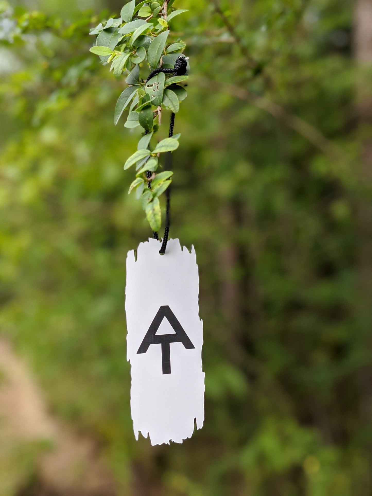 Appalachian Trail AT White Blaze Sign Ornament Decoration