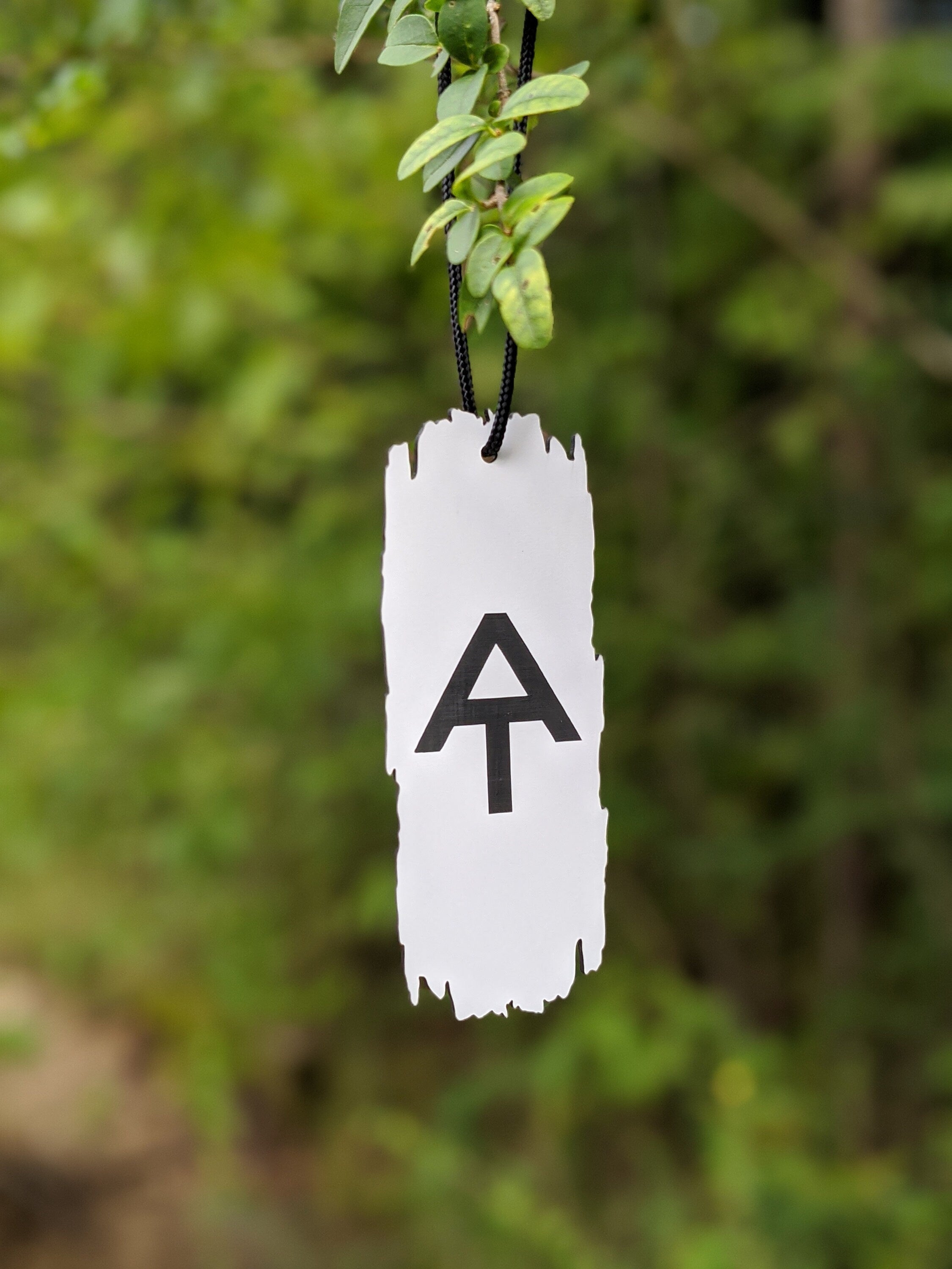 Appalachian Trail AT White Blaze Sign Ornament Decoration