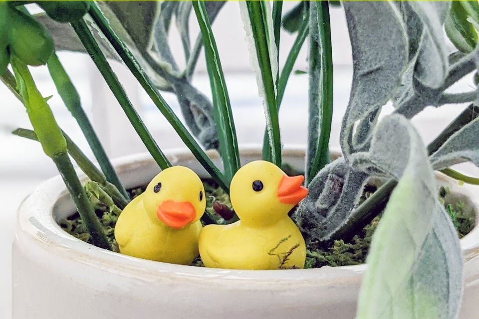 Miniature Rubber Ducks - Pack of 10- Tiny Figurine Duckies- Terrarium - House Plant - Mythical Creature - Legend - Diorama